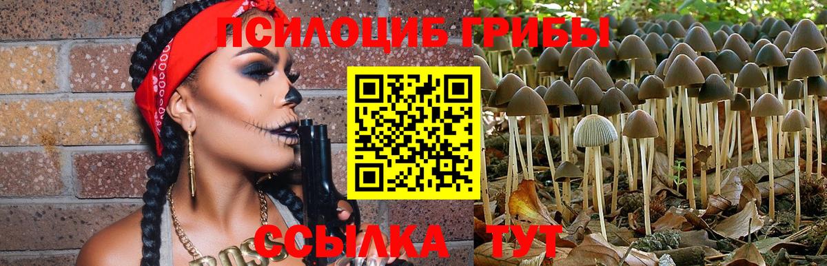 Псилоцибиновые грибы мухоморы Белгород