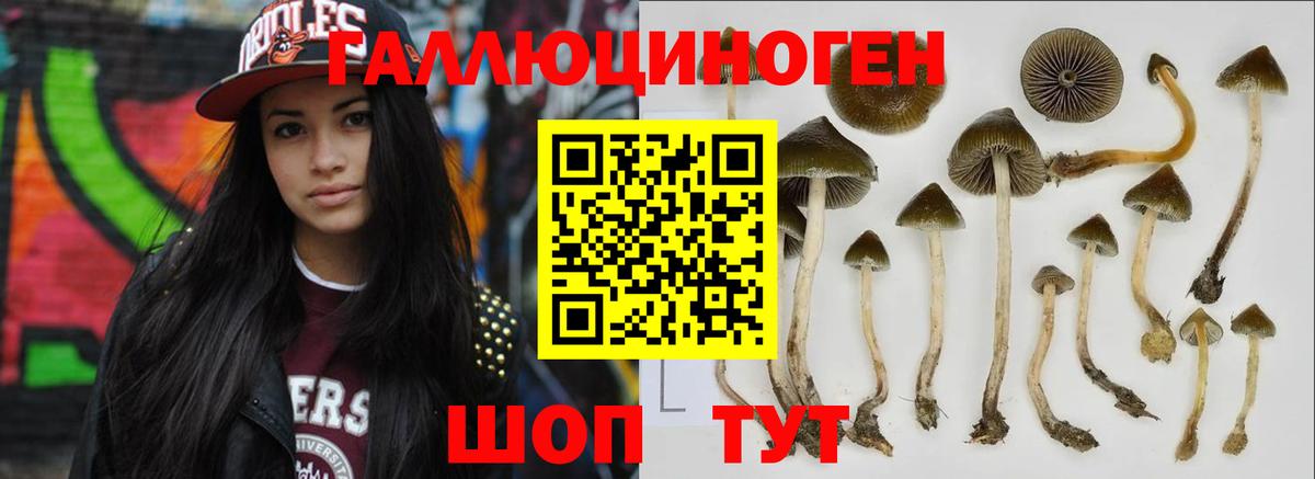 Белгород  Псилоцибиновые грибы Magic Shrooms  Вход с VPN 